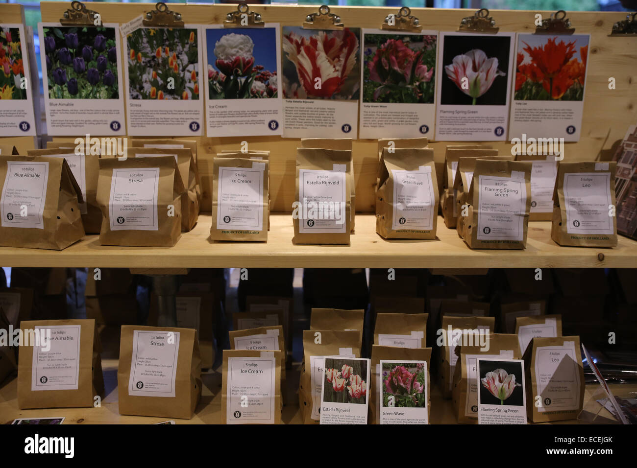 amsterdam tulip shop Stock Photo Alamy