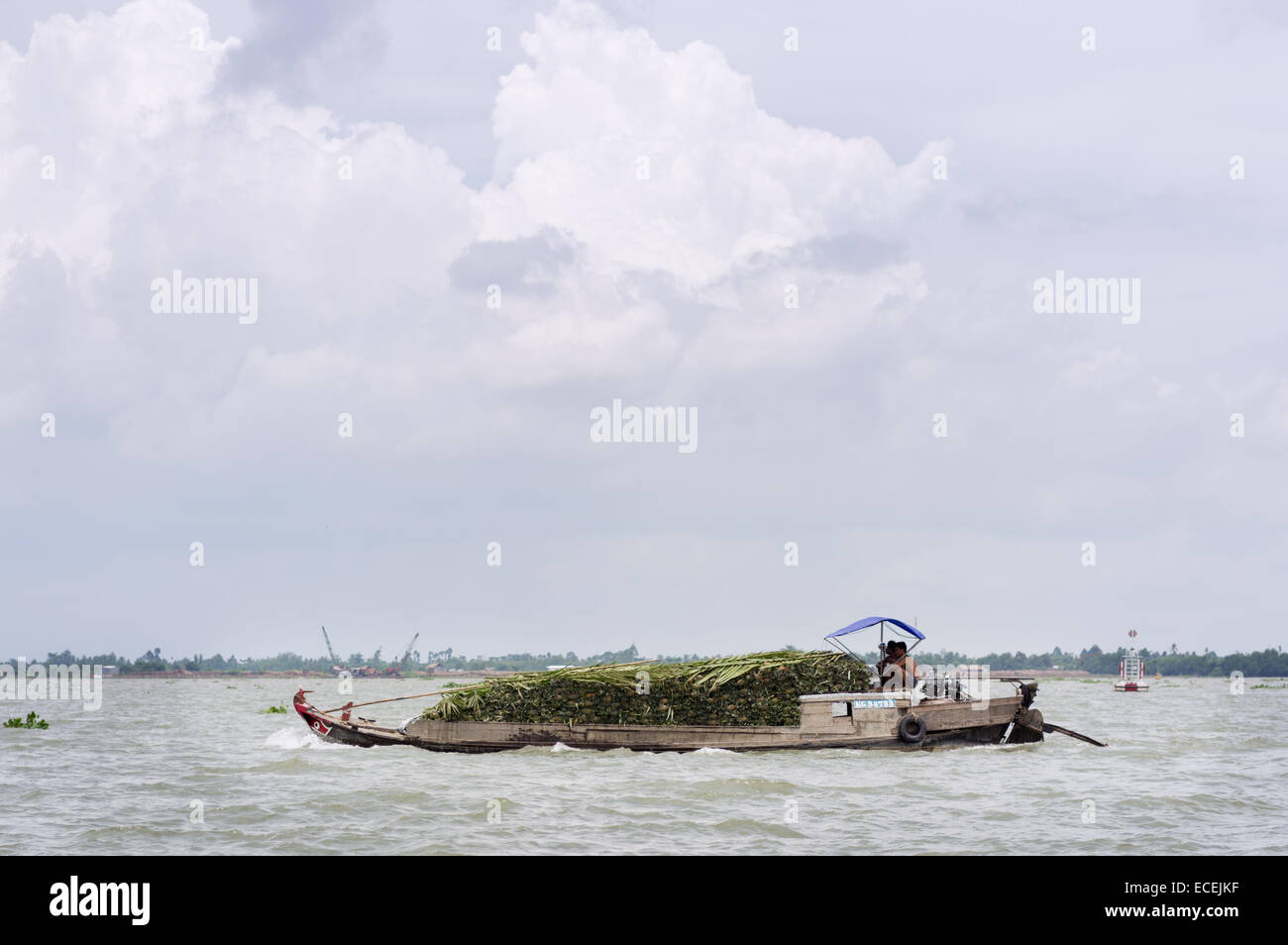 boat transporting pineapples - Mekong Delta, Vietnam Stock Photo