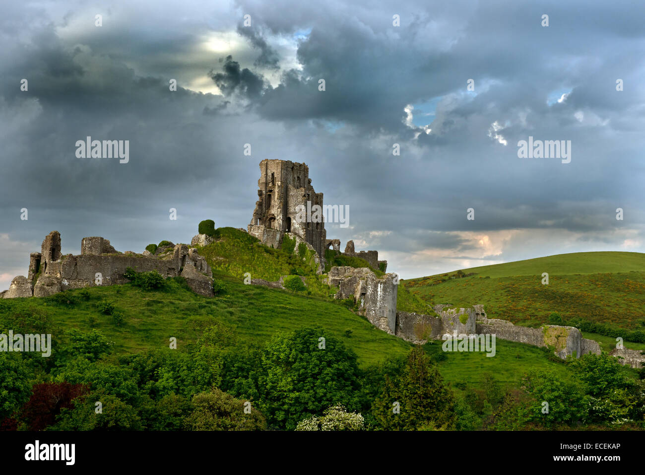 The Ruins of Corfe Castle, (National Trust), Isle of Purbeck, Dorset
