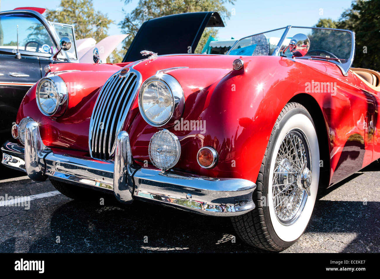 1955 Red British Jaguar XK car on display at a vintage vehicle show in