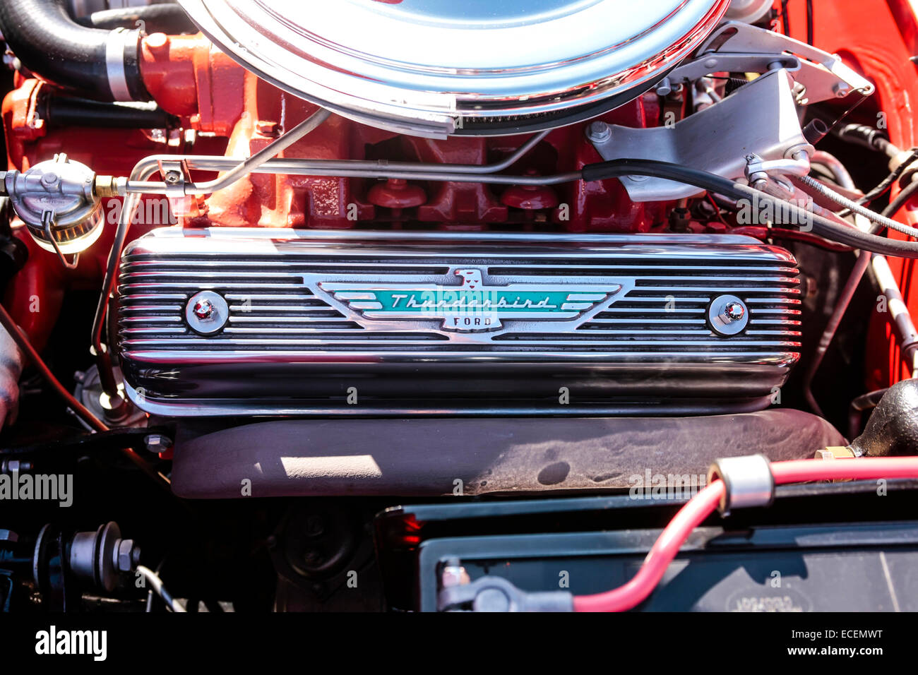 1957 Red Ford Thunderbird V8 292 cu engine on display at a vintage vehicle show in S. Florida Stock Photo