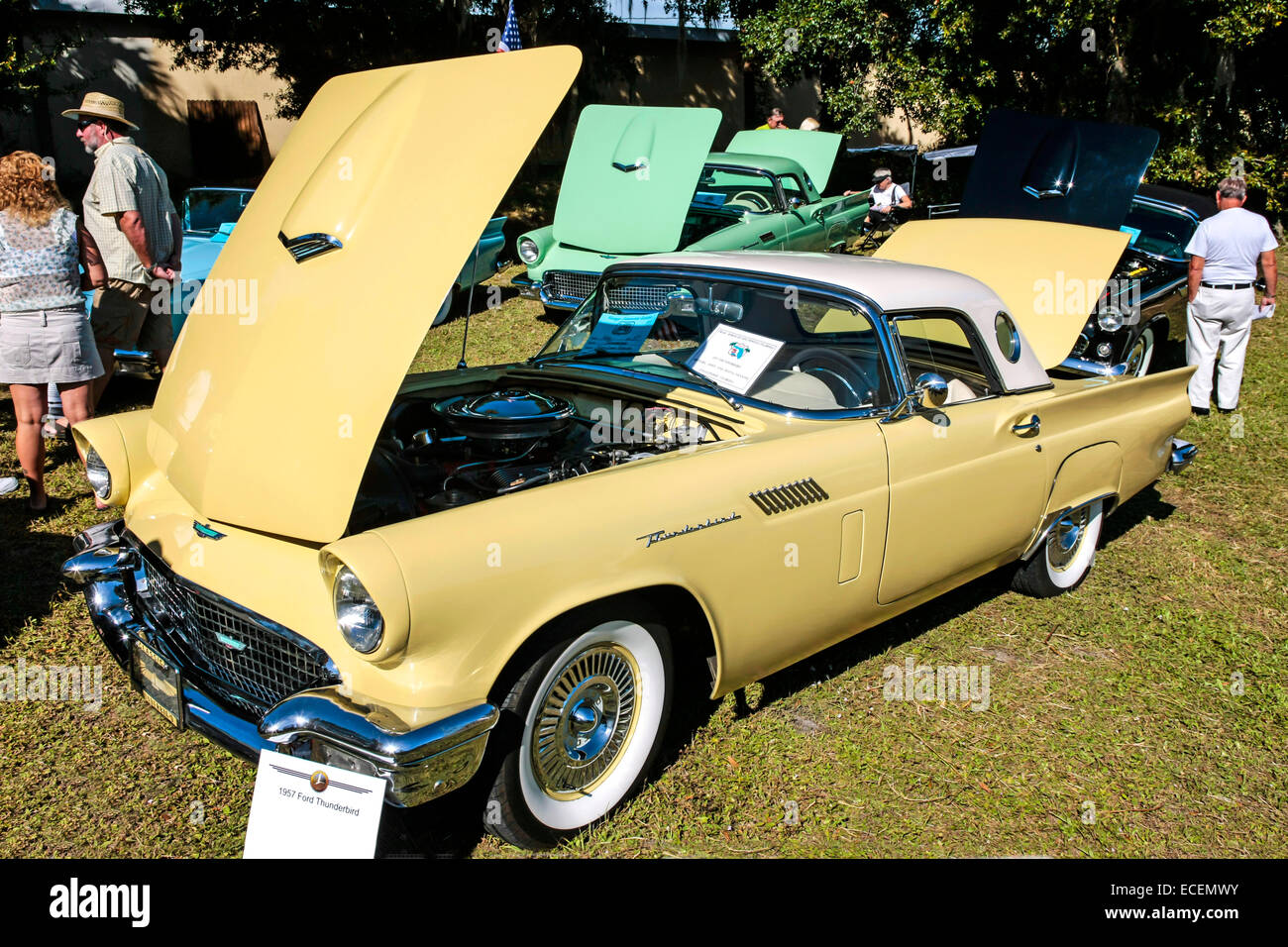 1957 Yellow Ford Thunderbird car on display at a vintage vehicle show in S. Florida Stock Photo
