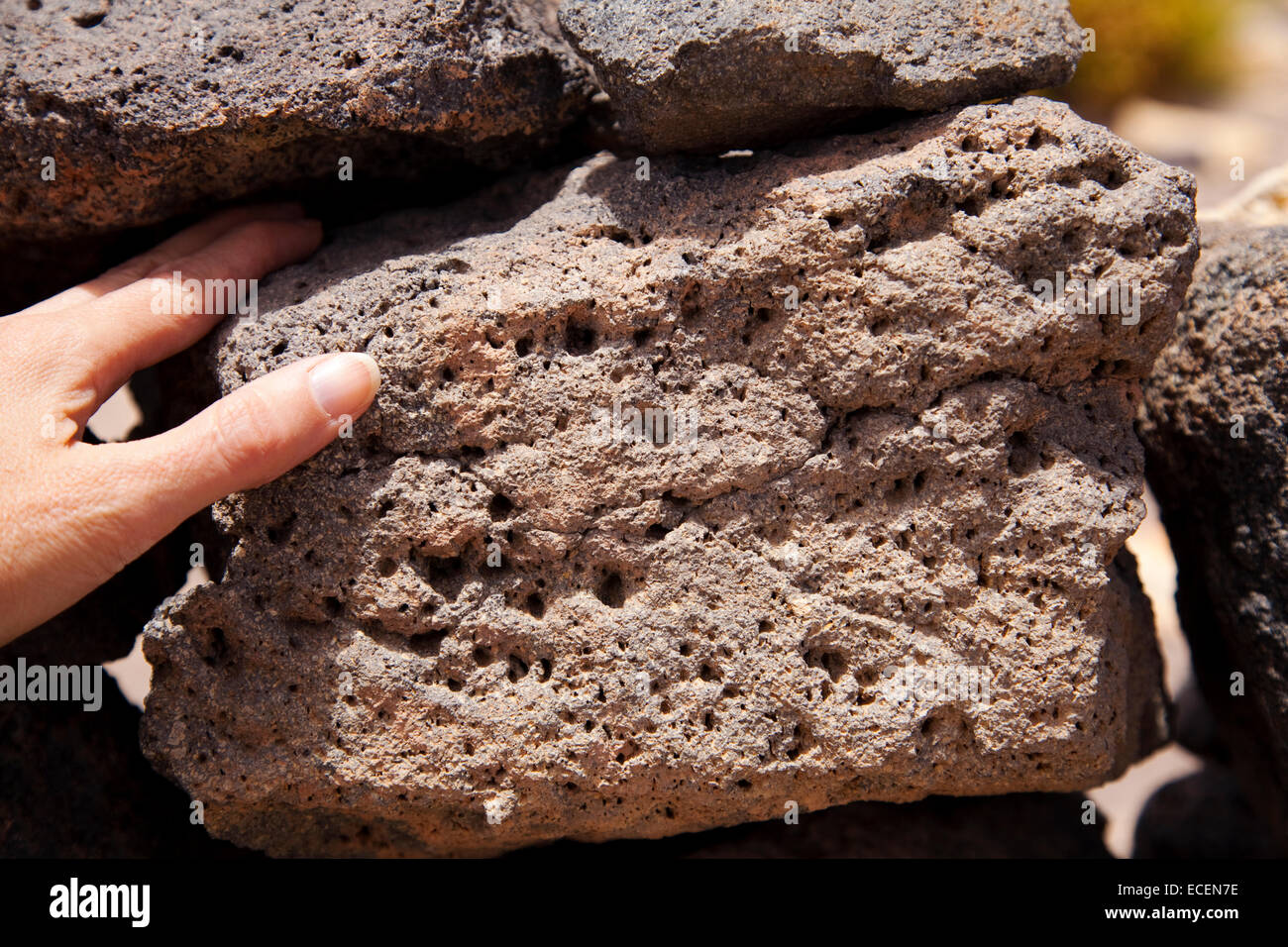 Vesicular volcanic rock in the Atacama desert, Chile, with hand for scale Stock Photo Alamy