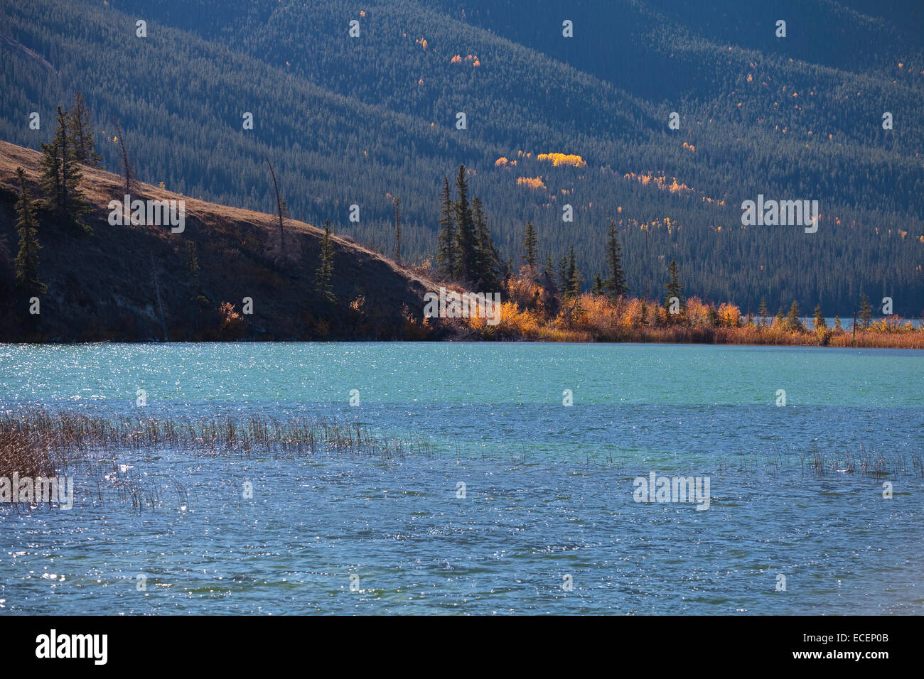 Moose Lake, British Columbia, in autumn colors. Stock Photo