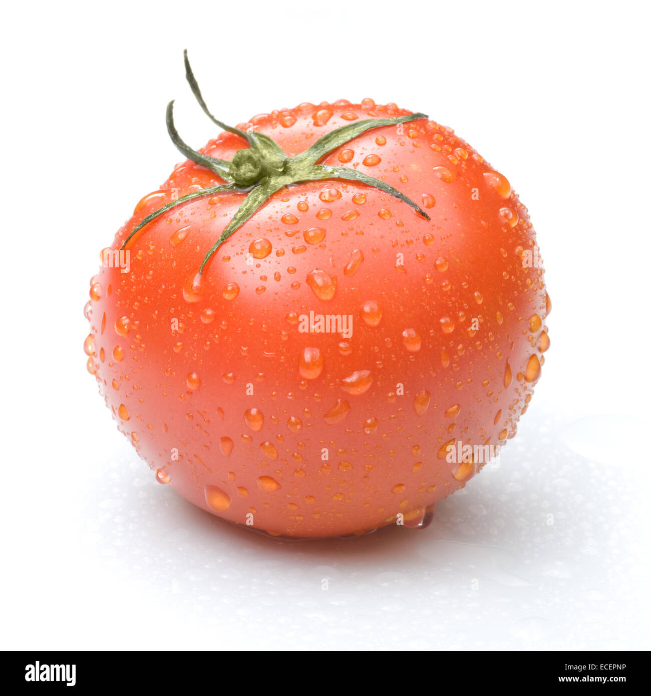 red tomato with water drops isolated on white Stock Photo - Alamy