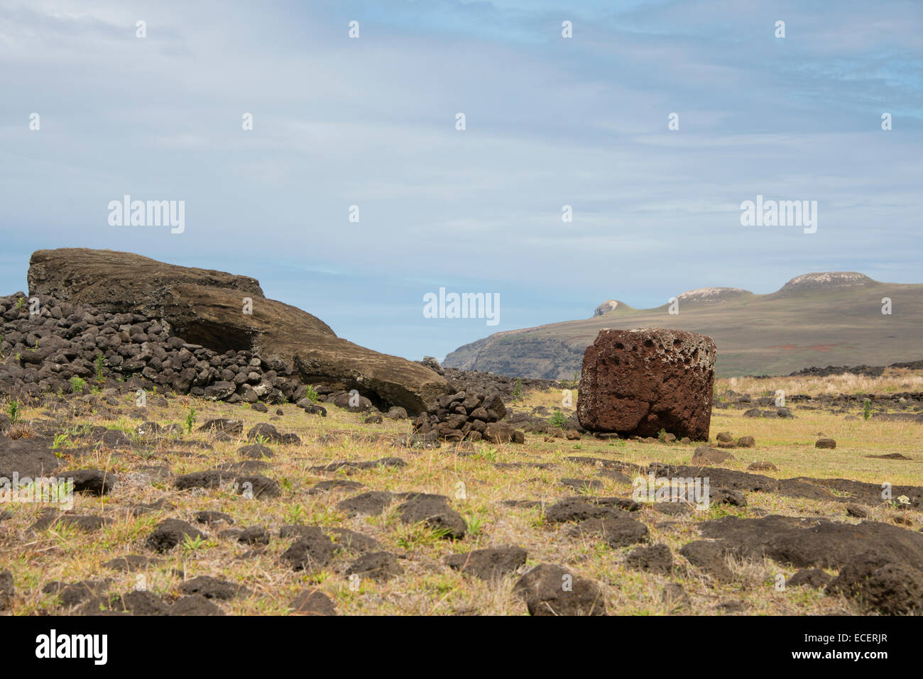 Chile, Easter Island. Te Pito Kura, Rapa Nui National Park. The largest moai (over 70 tons, lying face down) sculpture. Stock Photo