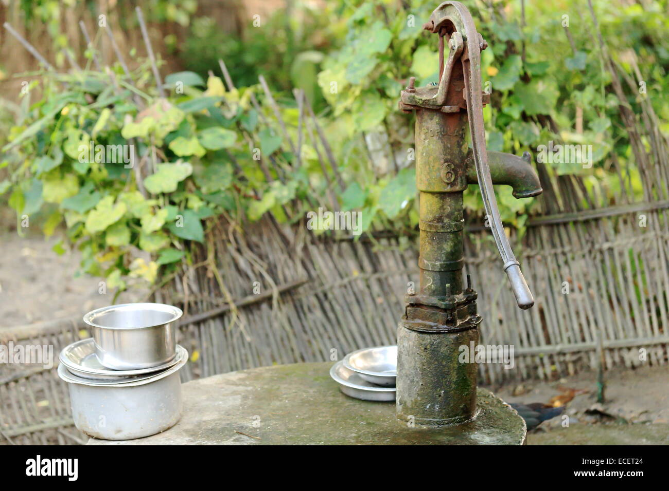 Old cast iron hand water pump along with some aluminum pans to wash them up on the rear grove