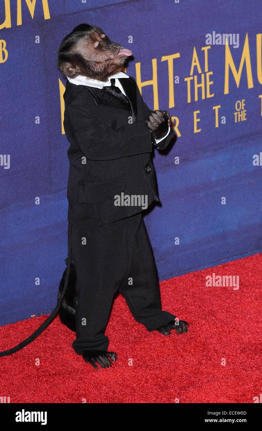 New York, NY, USA. 11th Dec, 2014. Crystal, monkey at arrivals for NIGHT AT THE MUSEUM: SECRET OF THE TOMB Premiere, Ziegfeld Theatre, New York, NY December 11, 2014. © Kristin Callahan/Everett Collection/Alamy Live News Stock Photo
