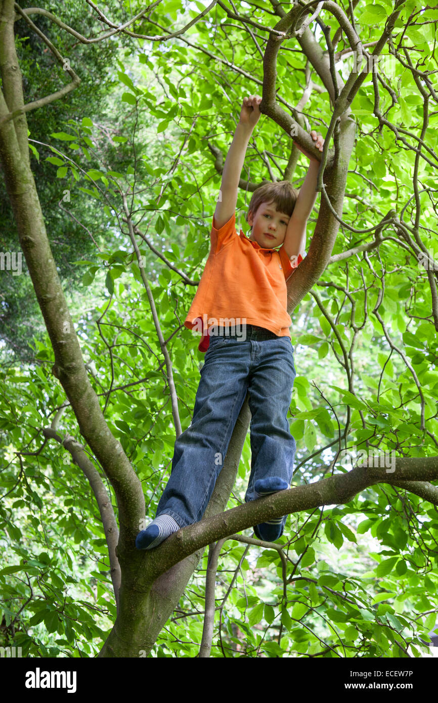 young boy, 7. 8. 9. 10 climbs a tree wearing no shoes. just socks Stock  Photo - Alamy