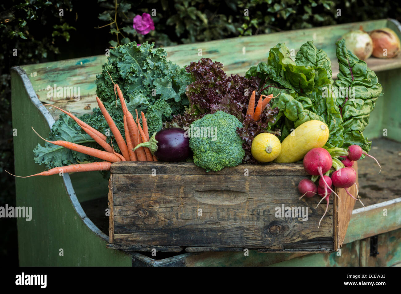 Farm Fresh Produce Stock Photo