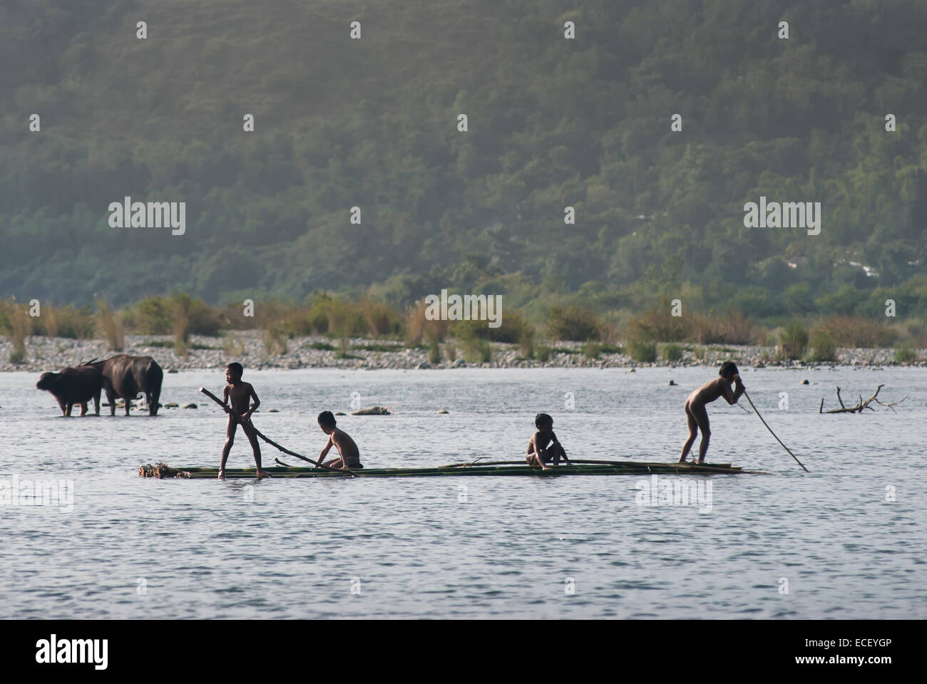 Indigenous boys pushing a bamboo raft on the Cagayan River in Luzon Stock Photo