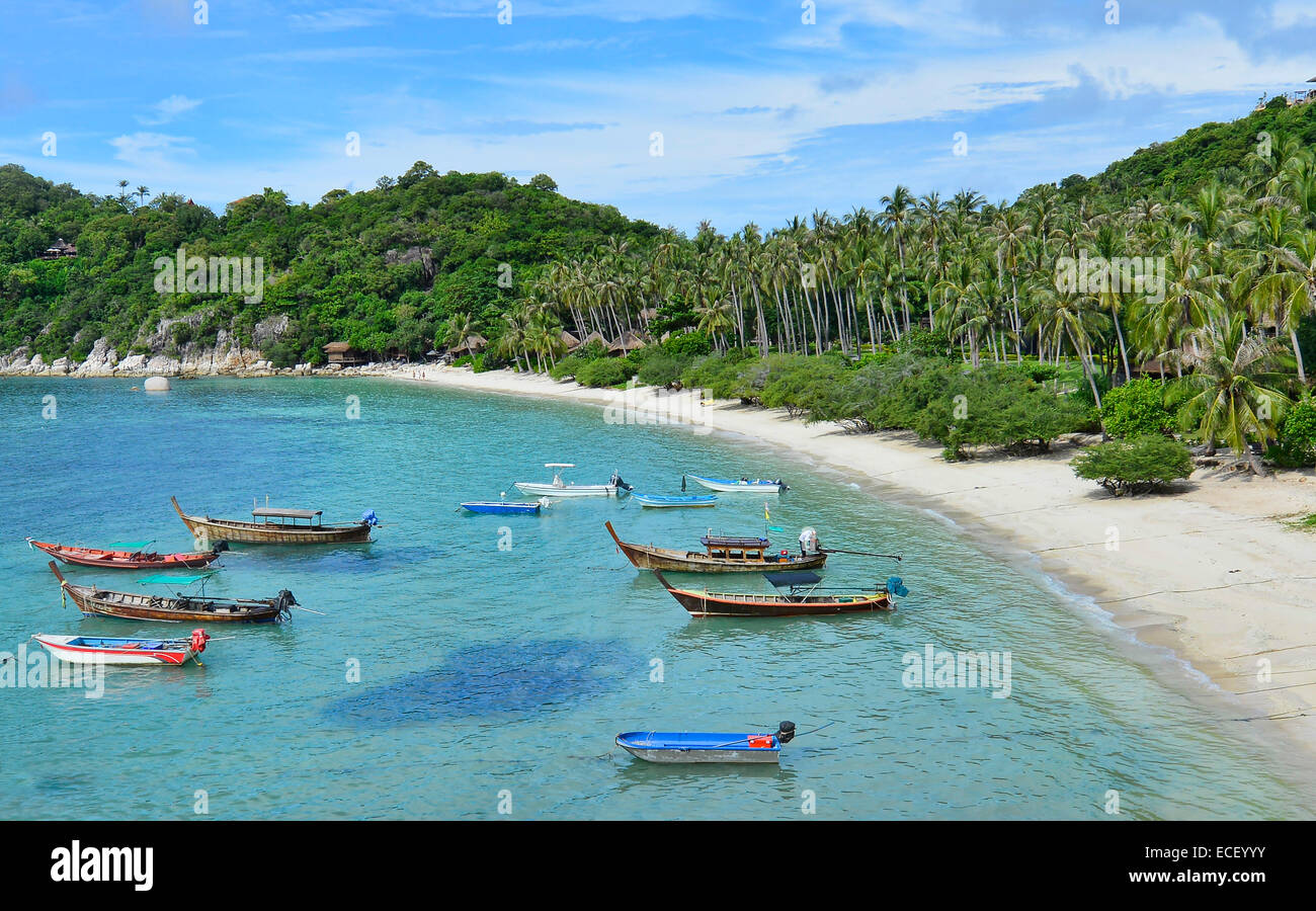 longtail boats at Haad Tien Beach, Koh Tao, Thailand Stock Photo Alamy