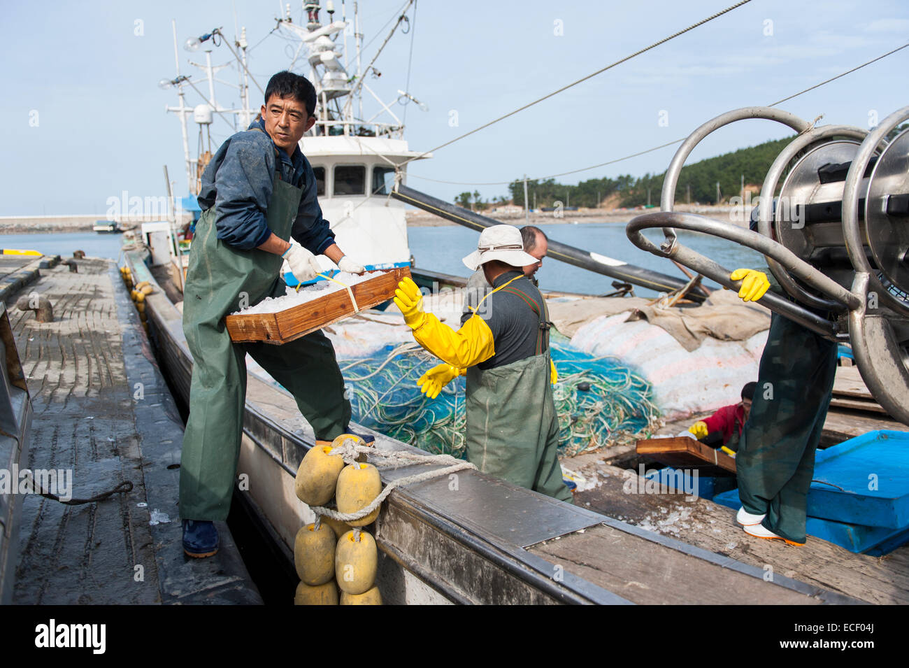 Fishermen offloading fish Stock Photo
