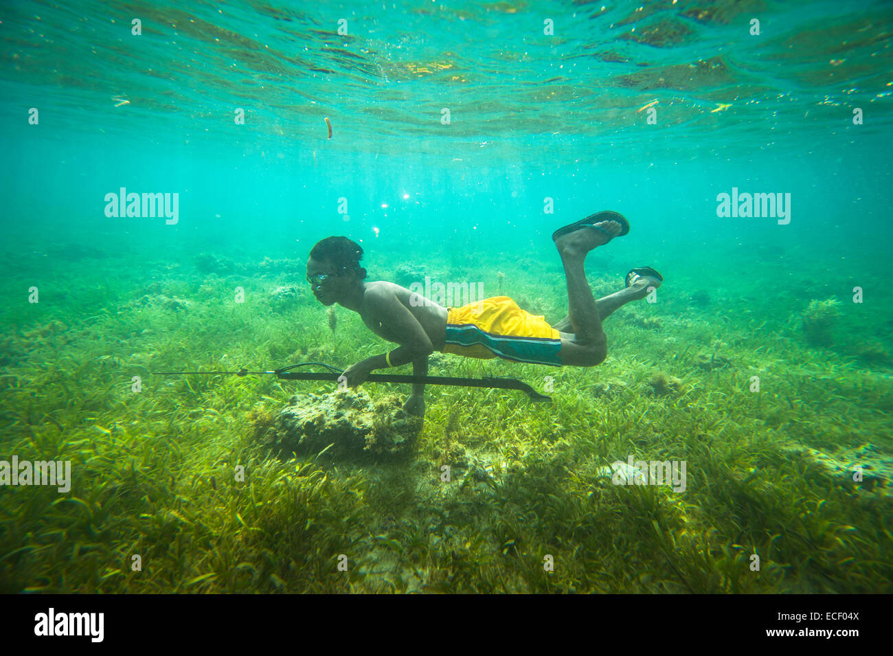 Spear fisherman underwater Stock Photo