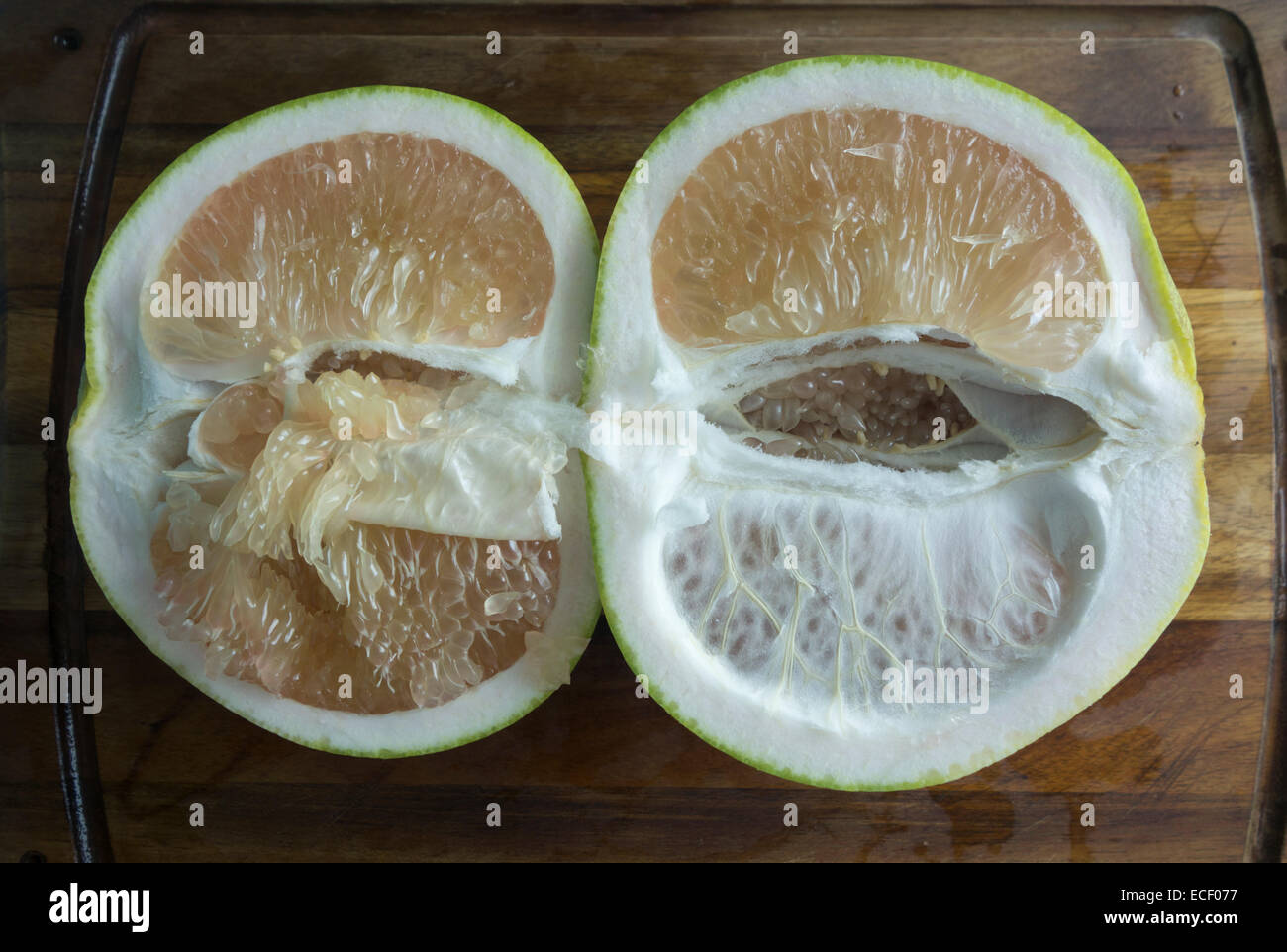 A large Asian citrus Pomelo fruit cut in half to show the segments