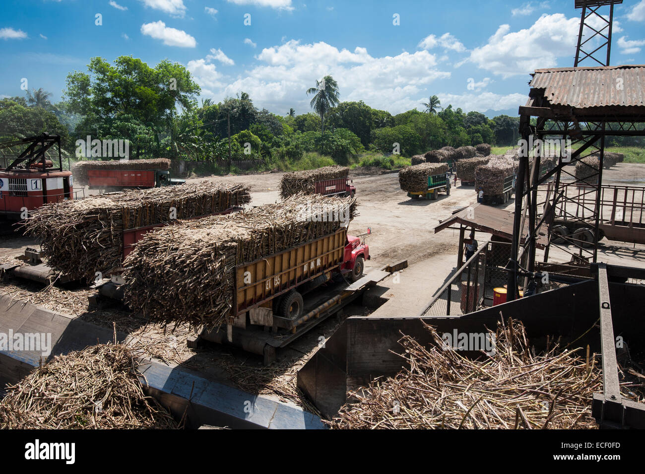 Trucks unloading sugar cane at mill Stock Photo