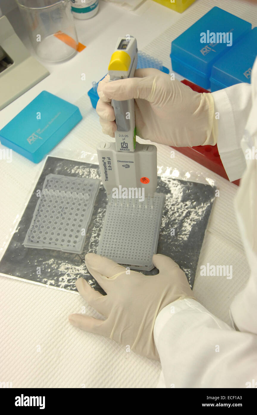Researcher in lab uses pipette and measures RNA. Stock Photo