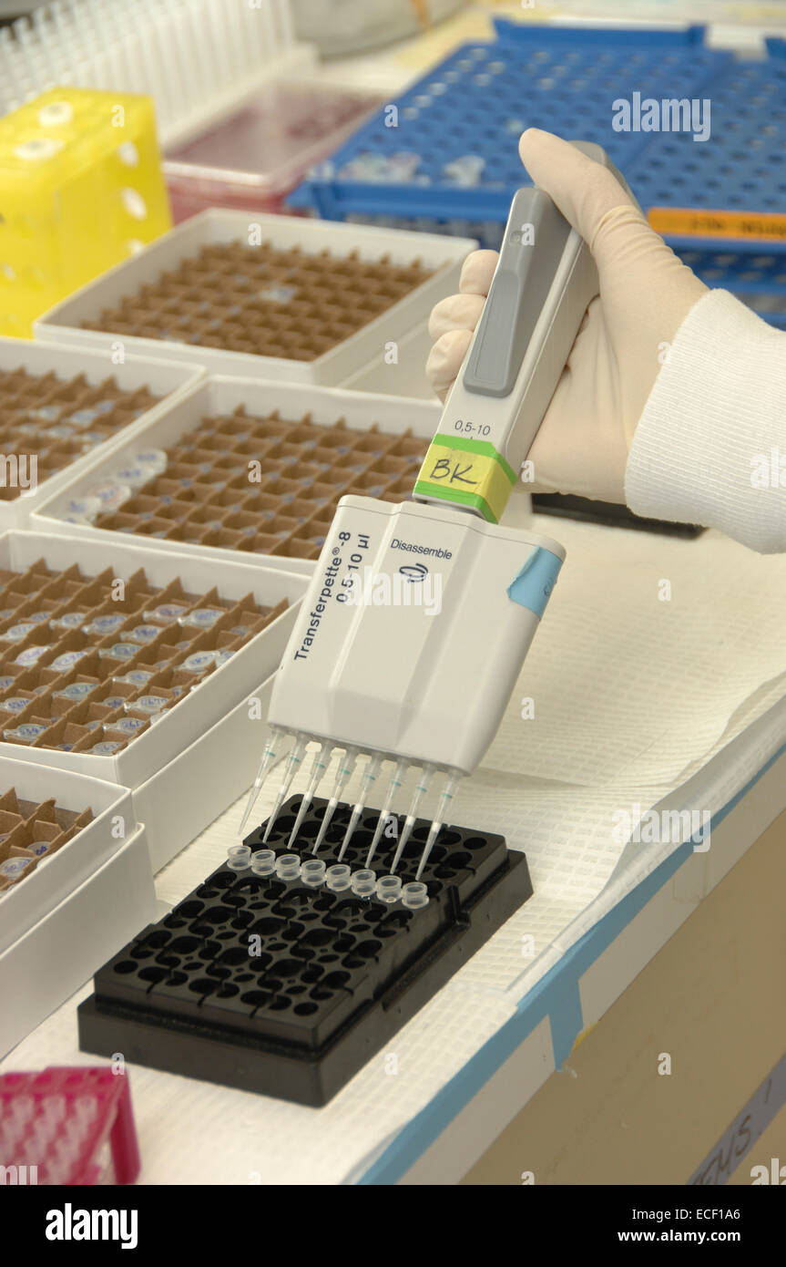 Researcher uses pipette in lab. Stock Photo