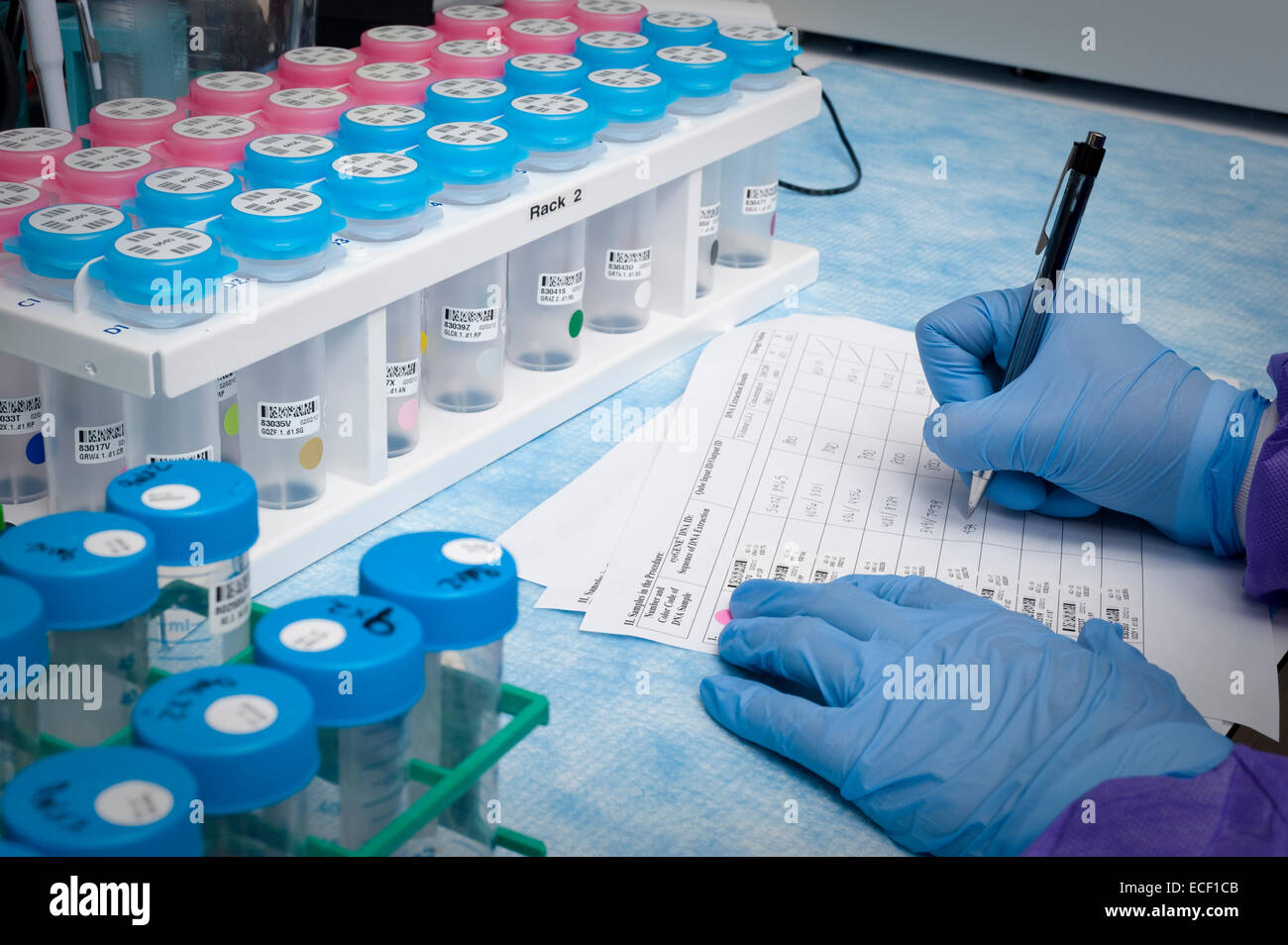 A laboratory scientist documents research findings. Stock Photo