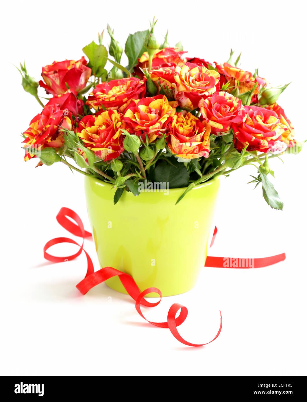 beautiful bouquet of roses with a festive ribbon for gift Stock Photo ...