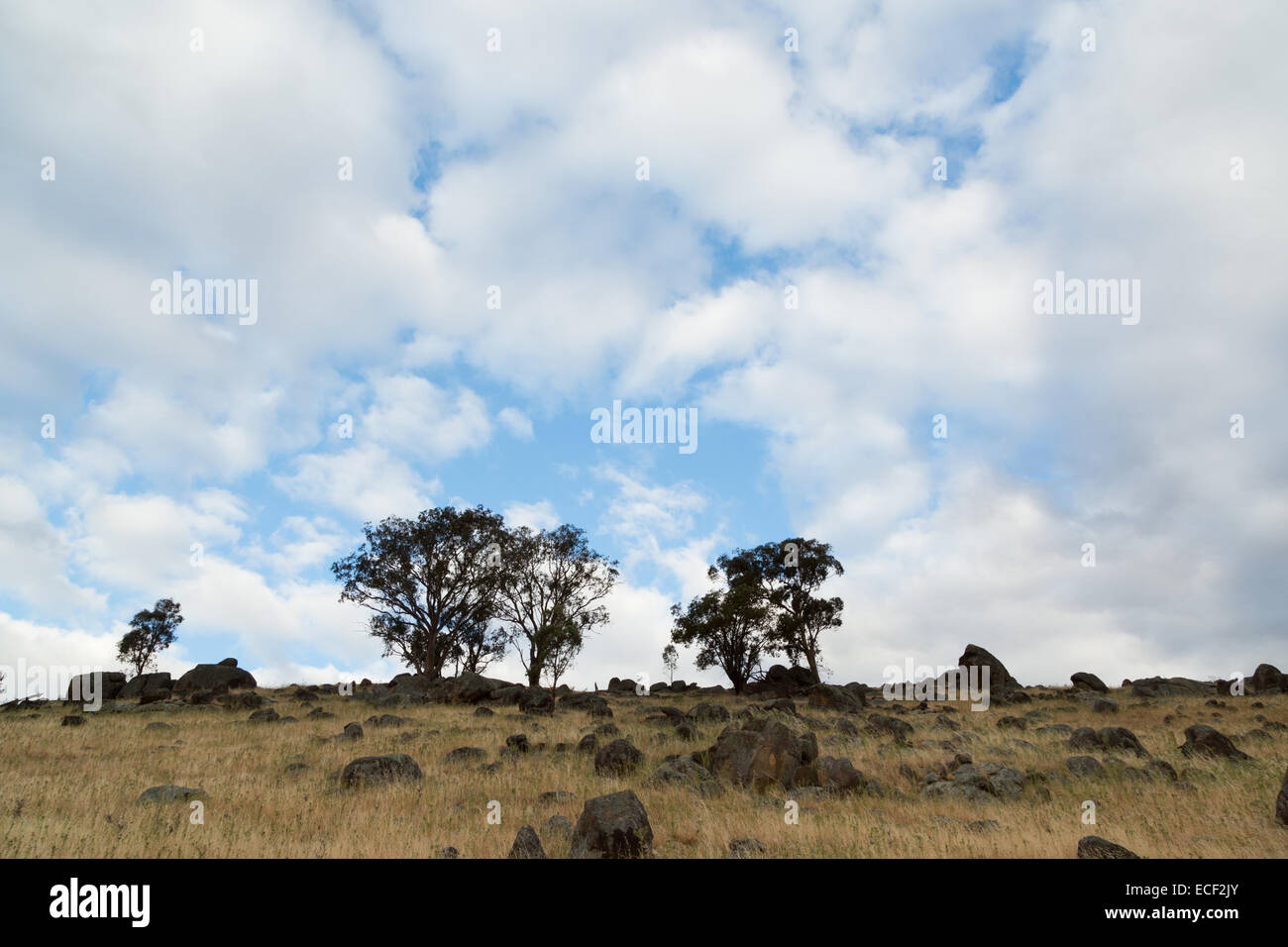 A photograph of some clouds and blue sky above a very dry drought affected Australian farm. Stock Photo