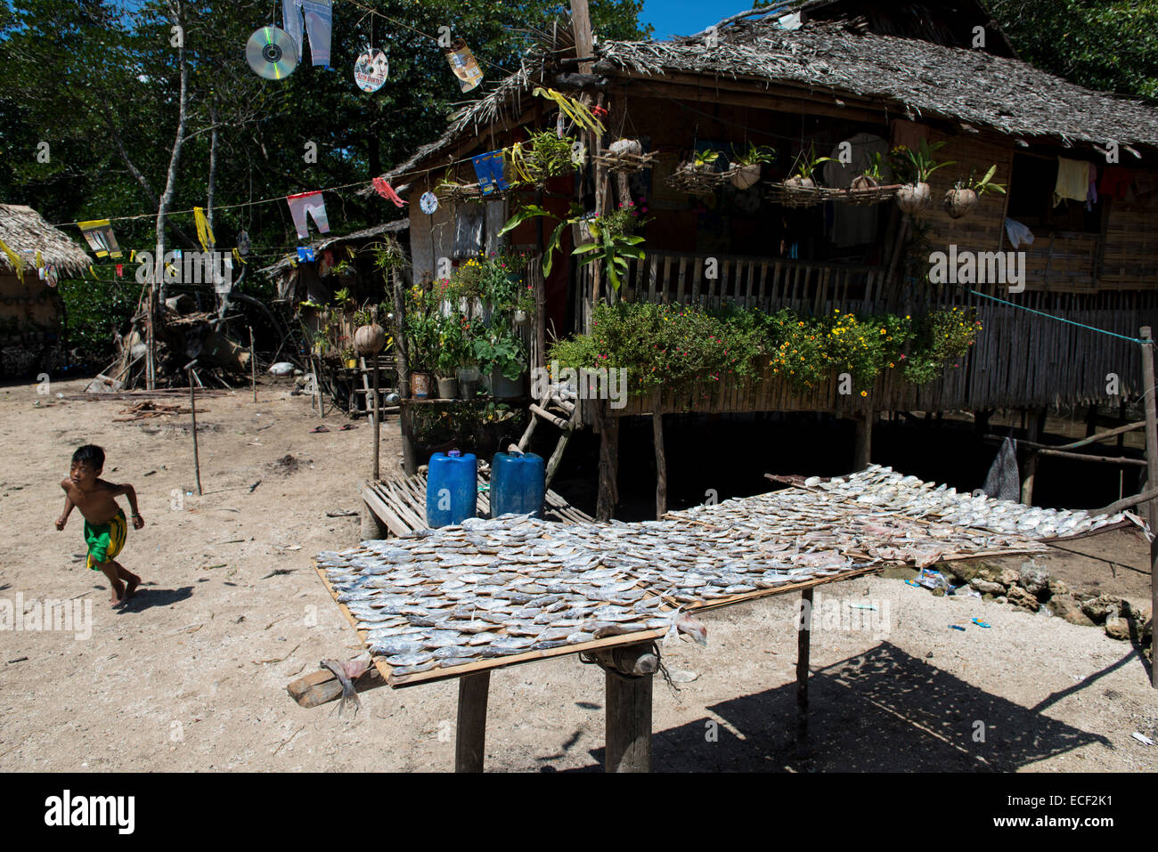 Fish drying in a fishing village Stock Photo