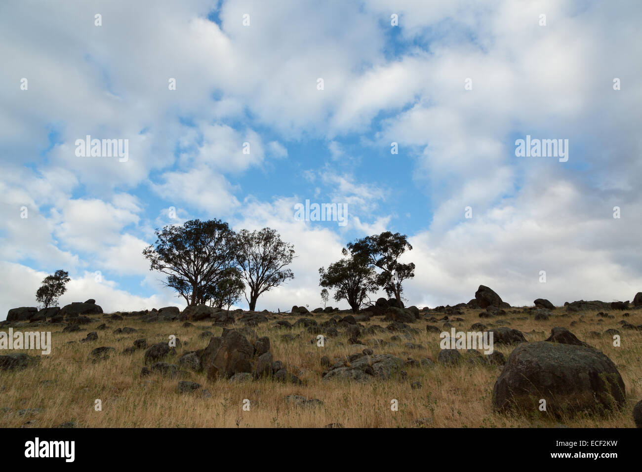 A photograph of some clouds and blue sky above a very dry drought affected Australian farm. Stock Photo