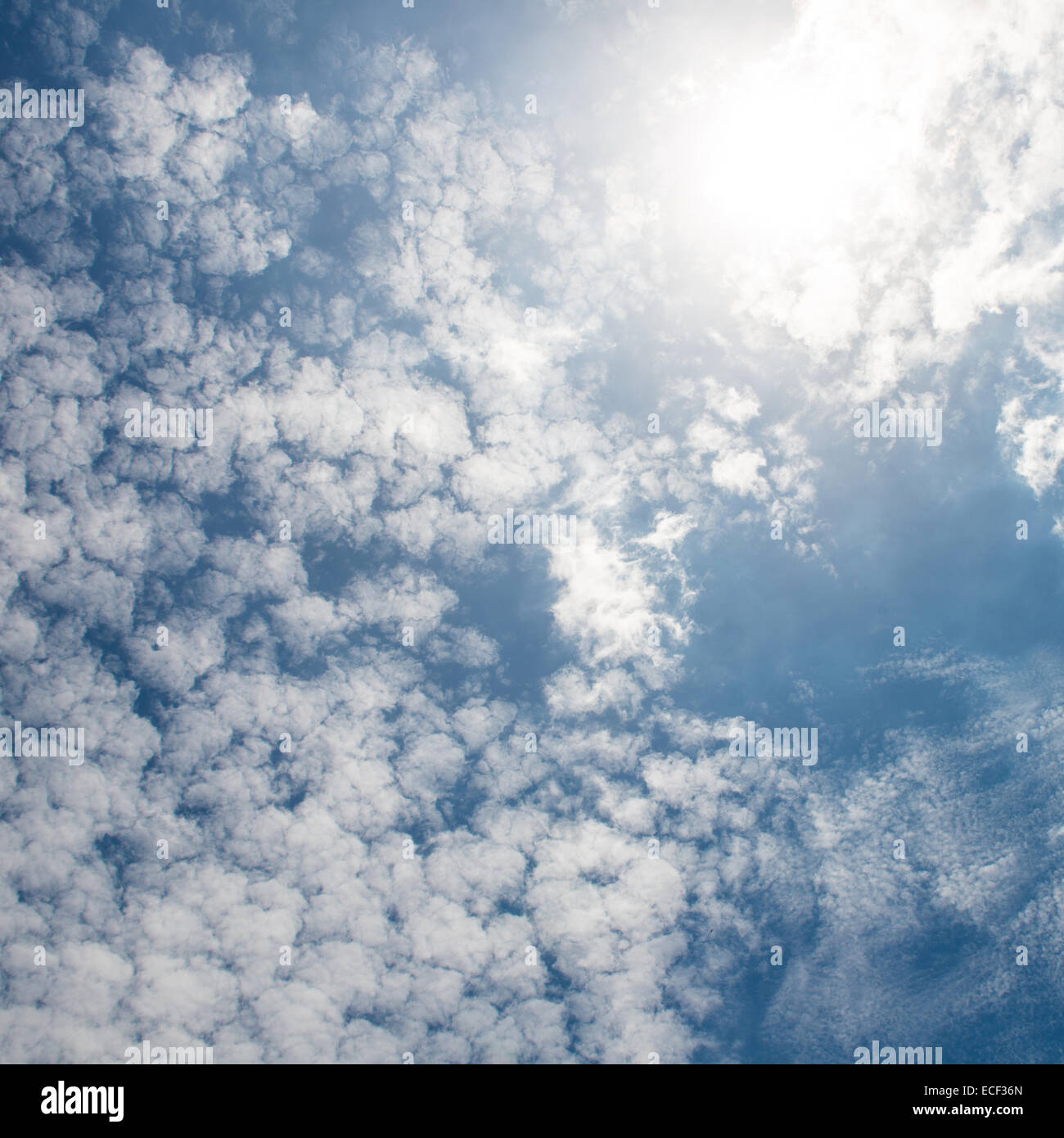 The blue sky and white fluffy clouds Stock Photo - Alamy