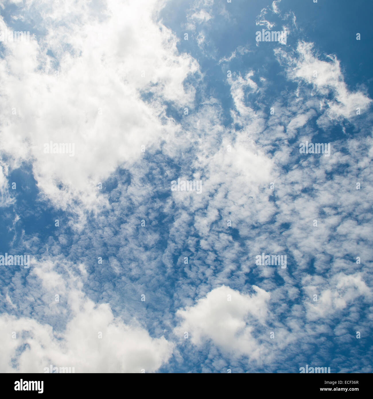 The blue sky and white fluffy clouds Stock Photo - Alamy
