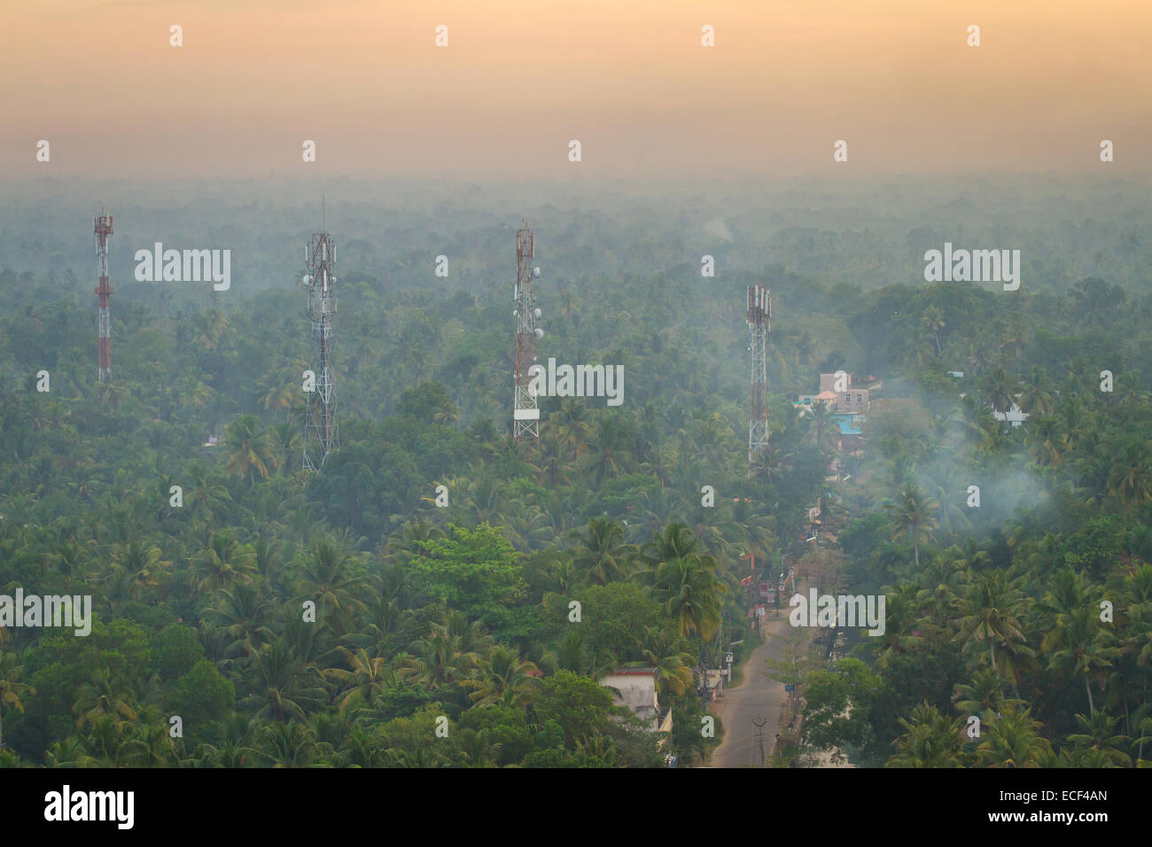 Thick tropical forest hi-res stock photography and images - Alamy