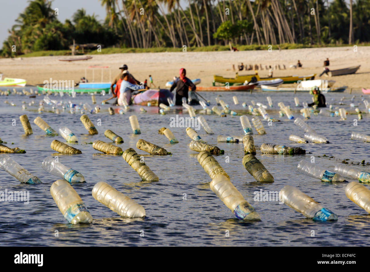 Seaweed farming in Indonesia using empty plastic bottles to float the lines that the seaweed grows on Stock Photo