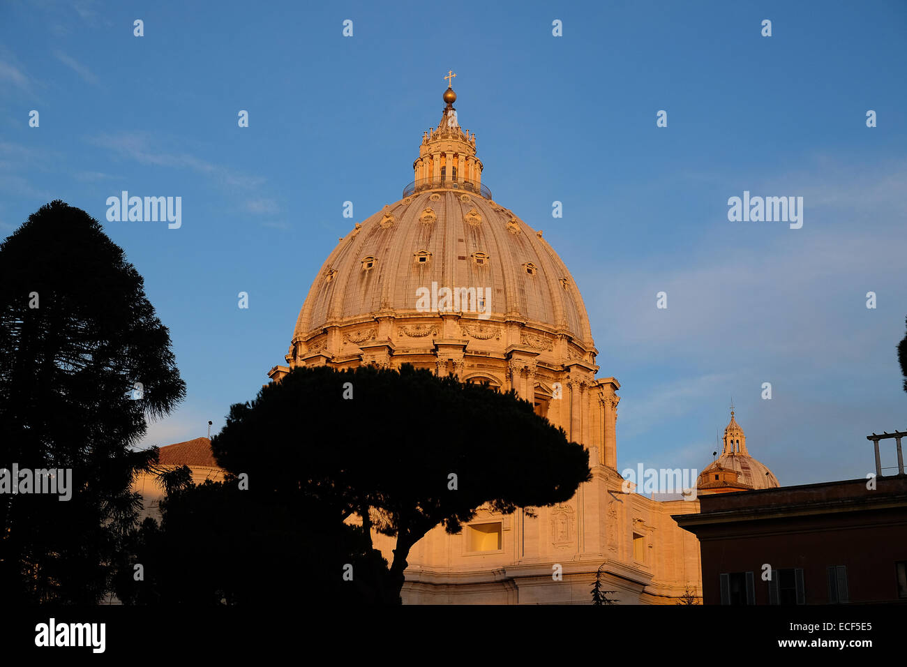 Vatican city. 12th December, 2014. Pope Francis celebrate the Holy Virgin of Guadalupe in Saint Peter with the chaints of the Misa Criolla, of the argentinean composer Ariel Ramìrez Credit:  Realy Easy Star/Alamy Live News Stock Photo