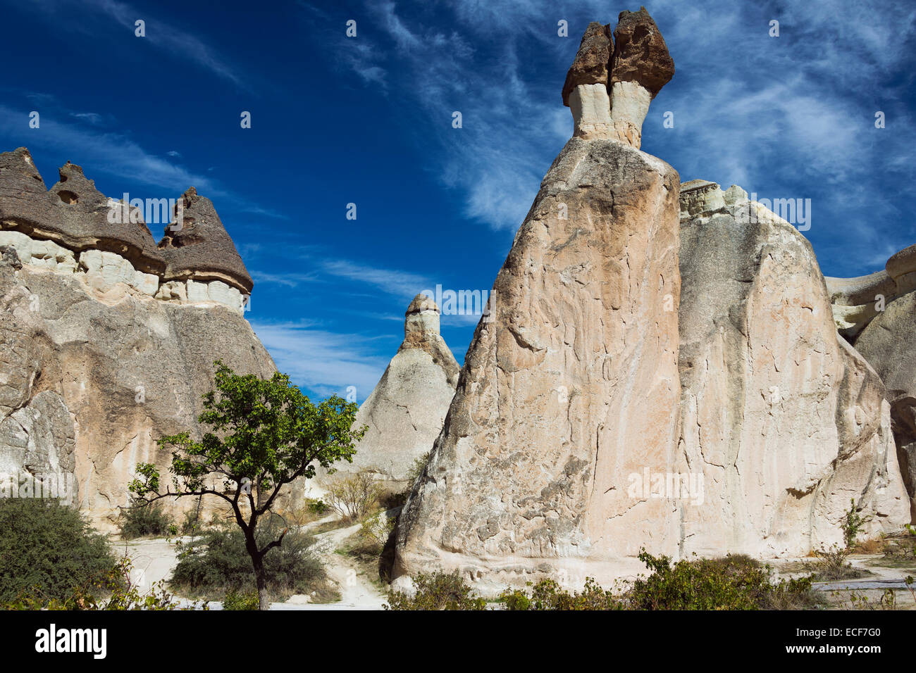 Mushroom capped fairy chimneys at Pasabag Stock Photo - Alamy