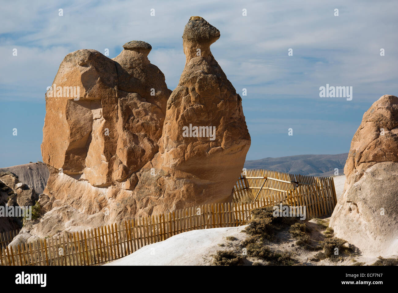 Animal shaped rocks in Fantasyland Stock Photo - Alamy