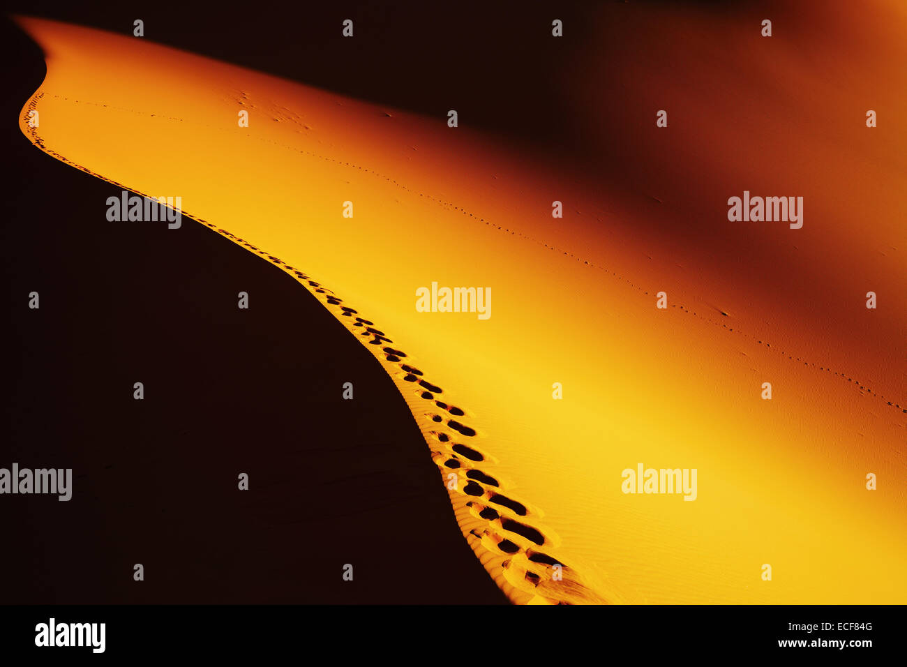 Footprints on sand dune, Sahara Desert, Algeria Stock Photo