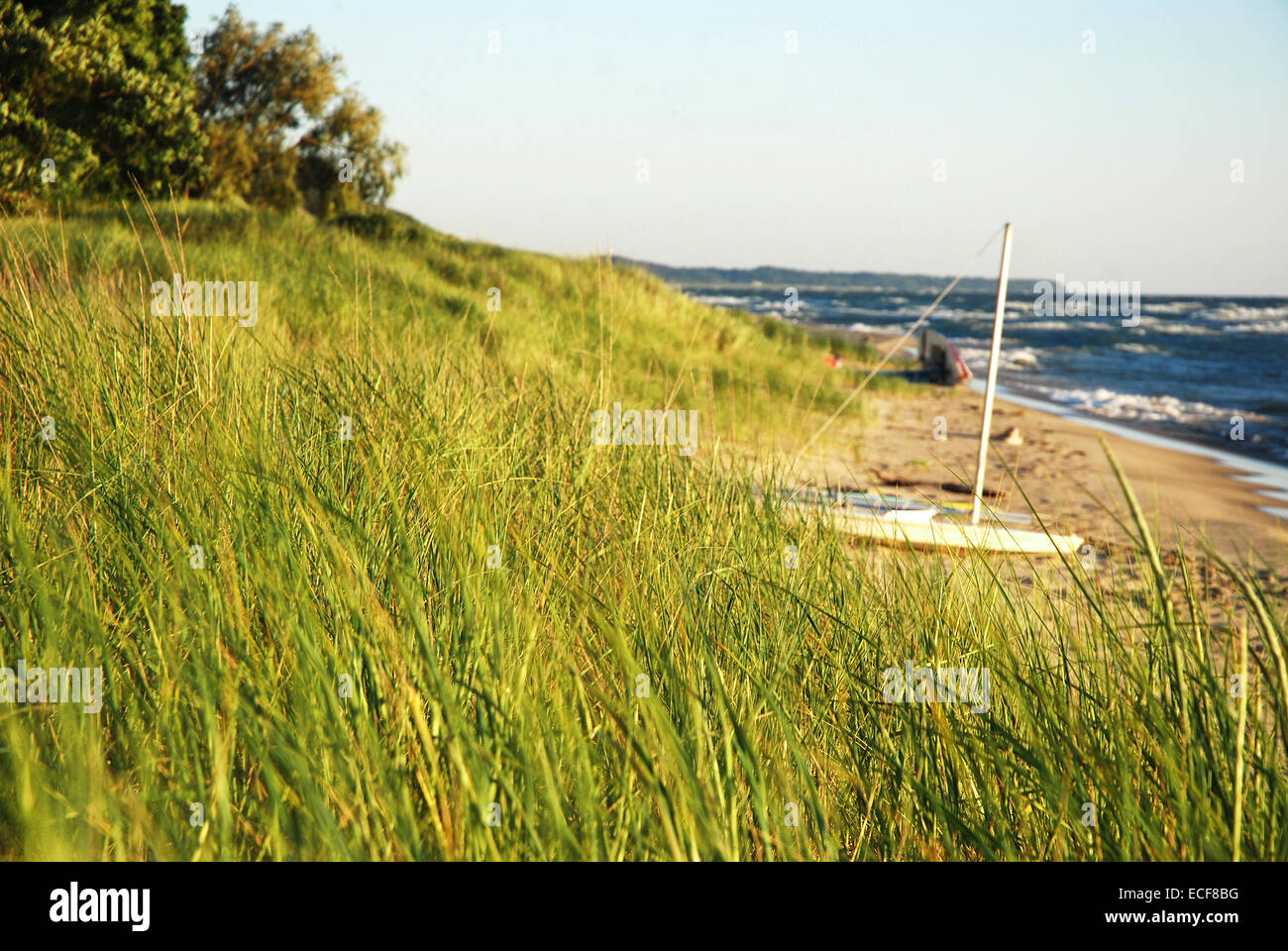 Beach grass on Lake Michigan with sailboat on shore Stock Photo