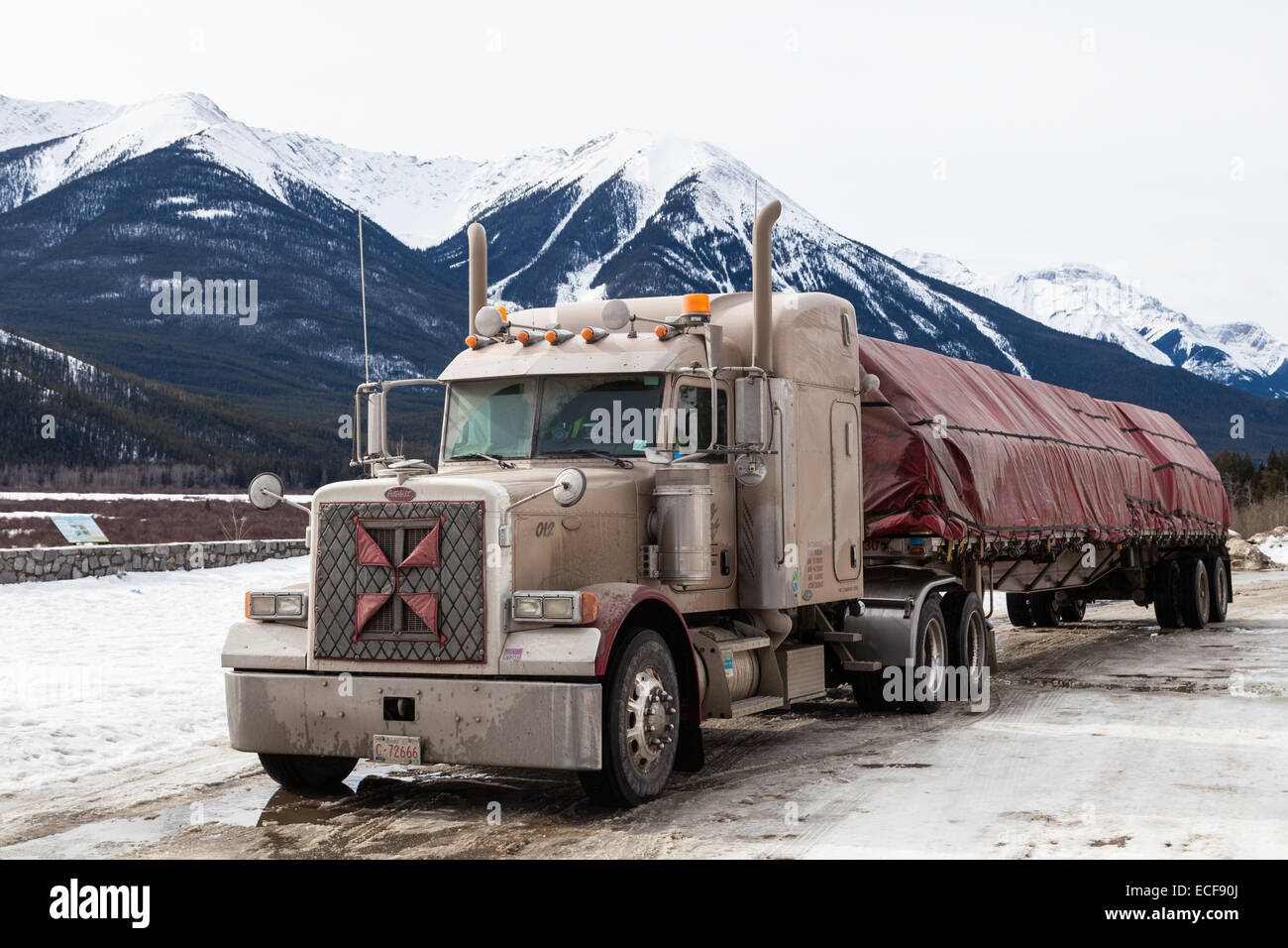 Peterbilt 379 semi trailer with a tarped load of lumber in winter Stock Photo