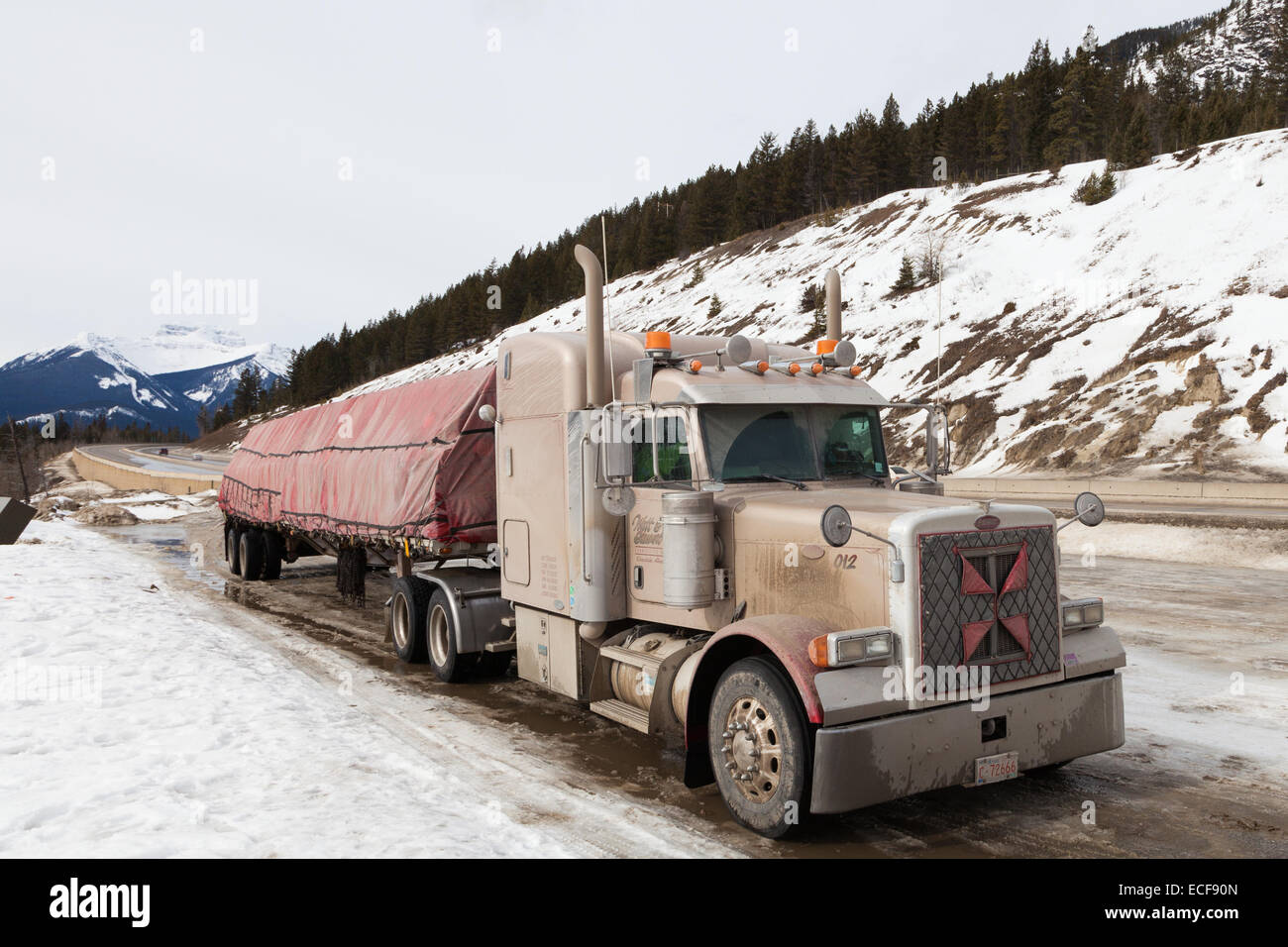 Peterbilt 379 semi trailer with a tarped load of lumber in winter Stock Photo