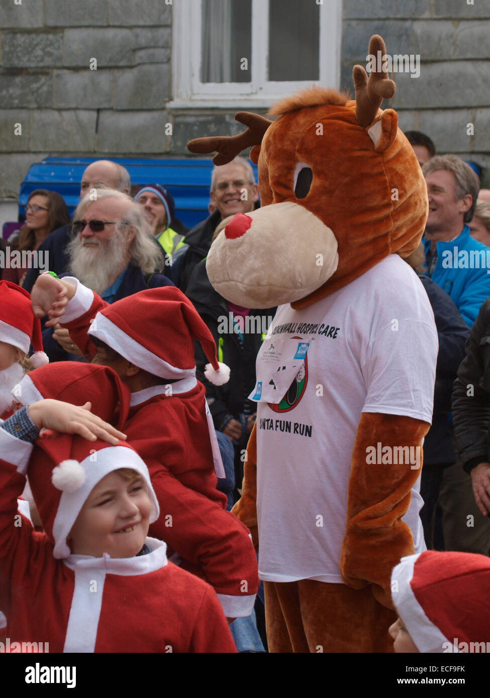Cornwall Hospice Care's mascot, Ruan the Reindeer at the Charity Santa run at the Padstow Christmas festival, Cornwall, UK Stock Photo