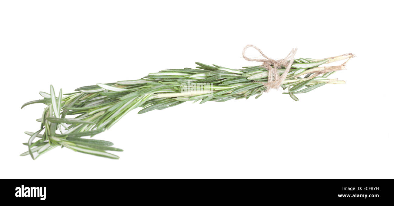 Rosemary branch on a white background, it is isolated Stock Photo
