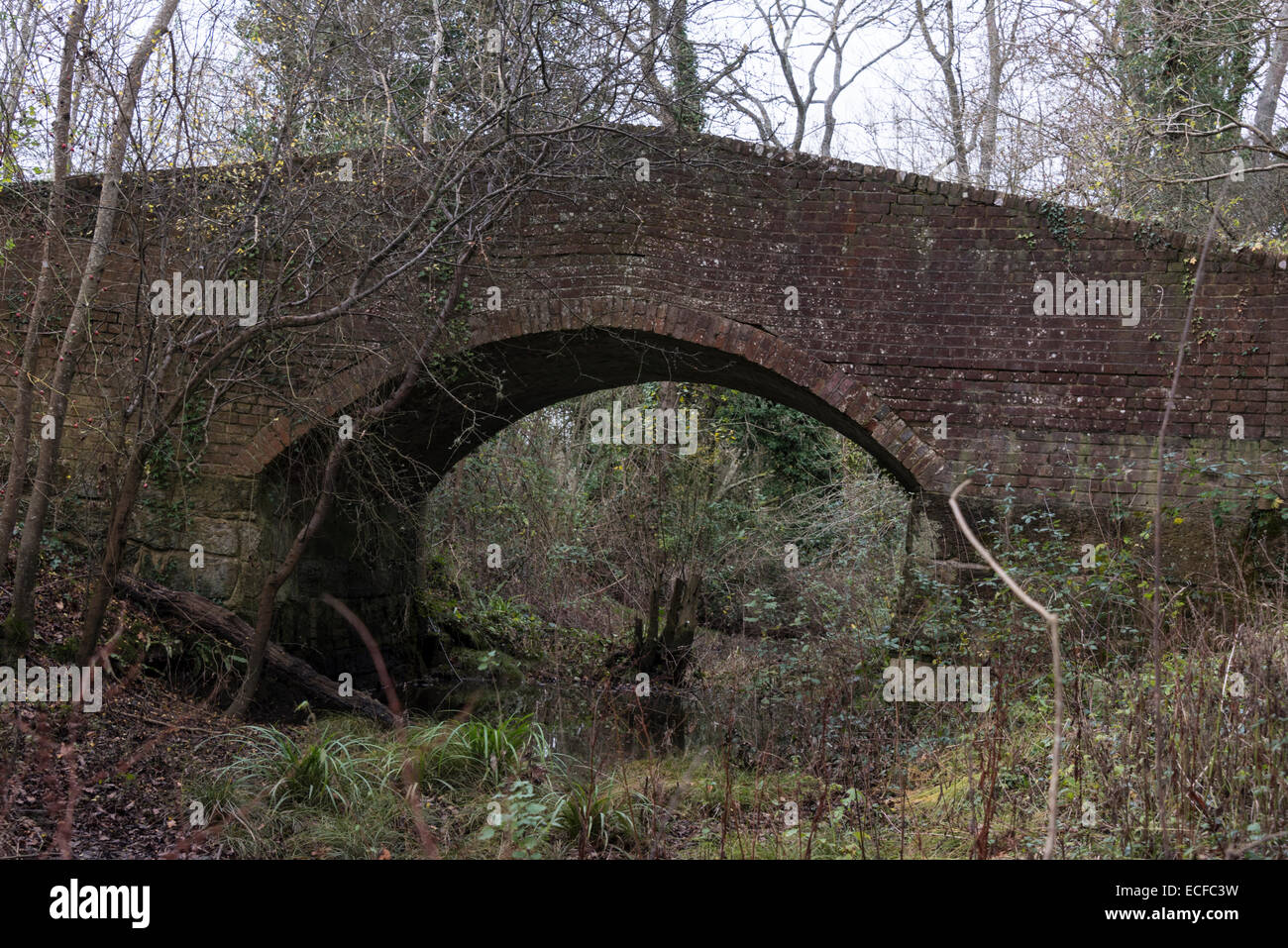 A bridge across the old still derelict part of the Arun-Weybridge canal taken on an overcast winter's day. Stock Photo
