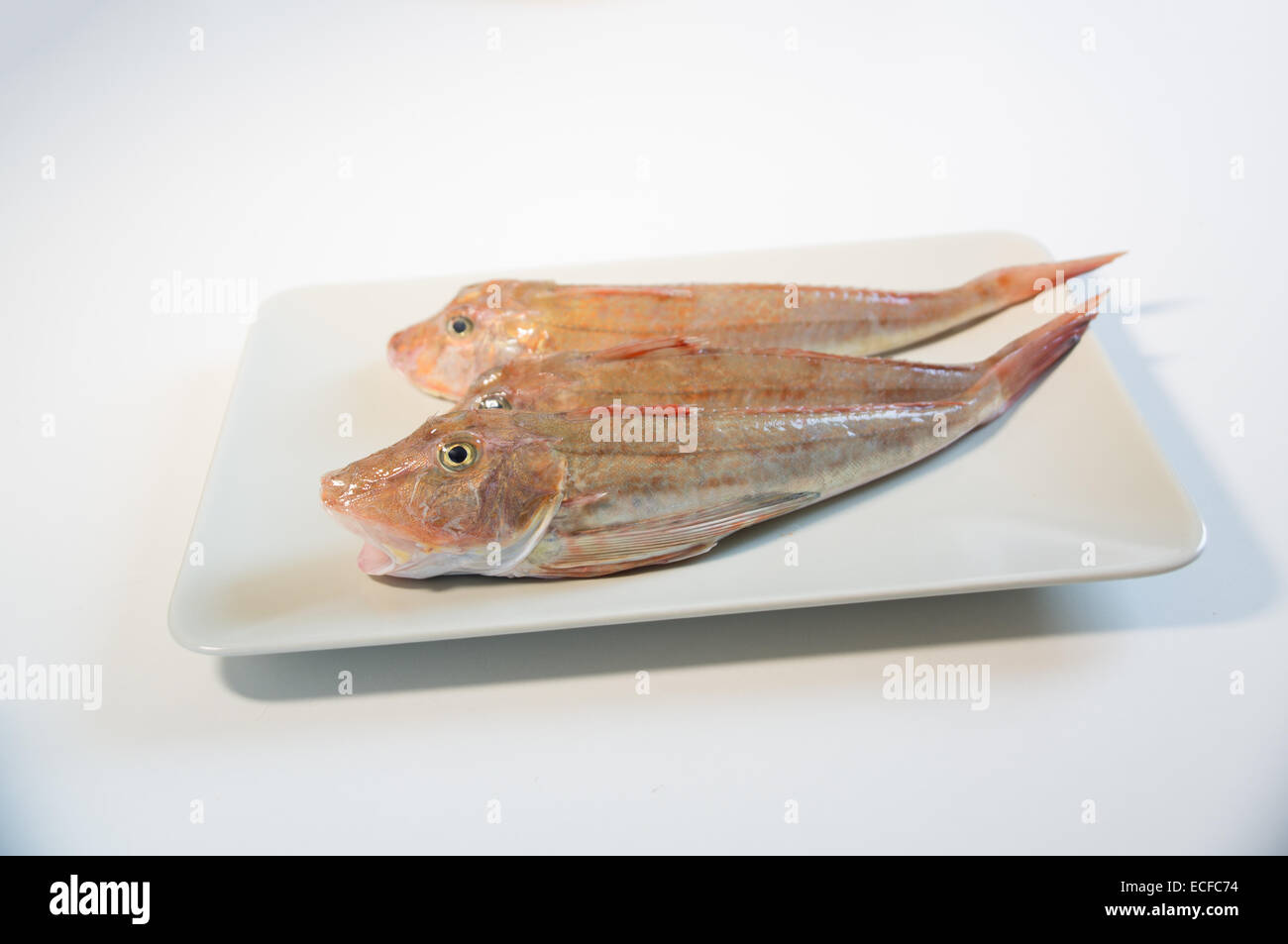 Fresh fish with red scales Stock Photo Alamy