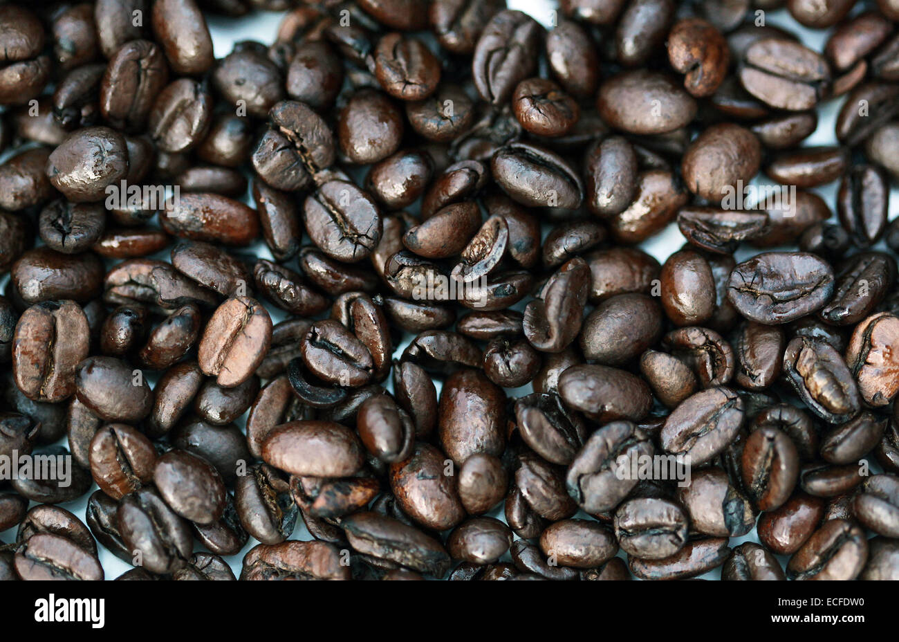 Freshly roasted coffee beans Stock Photo Alamy