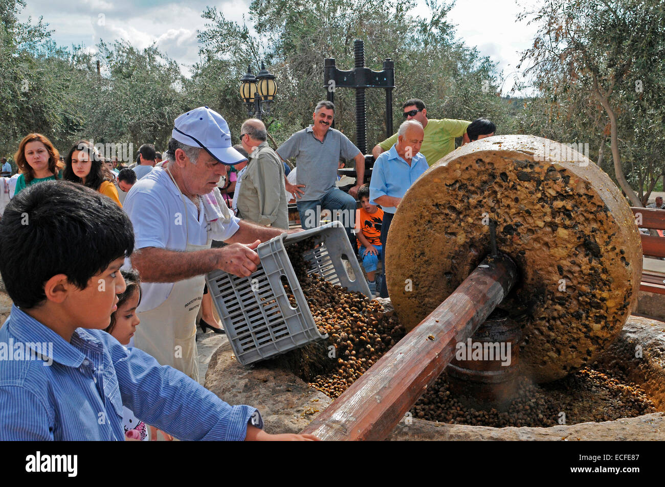 Grinding and pressing the olives at the Amargeti Village Festival in Cyprus Stock Photo