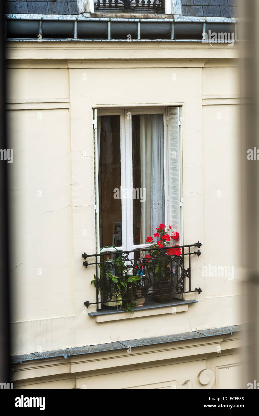 A red flowered plant on a window ledge in Paris France Stock Photo - Alamy