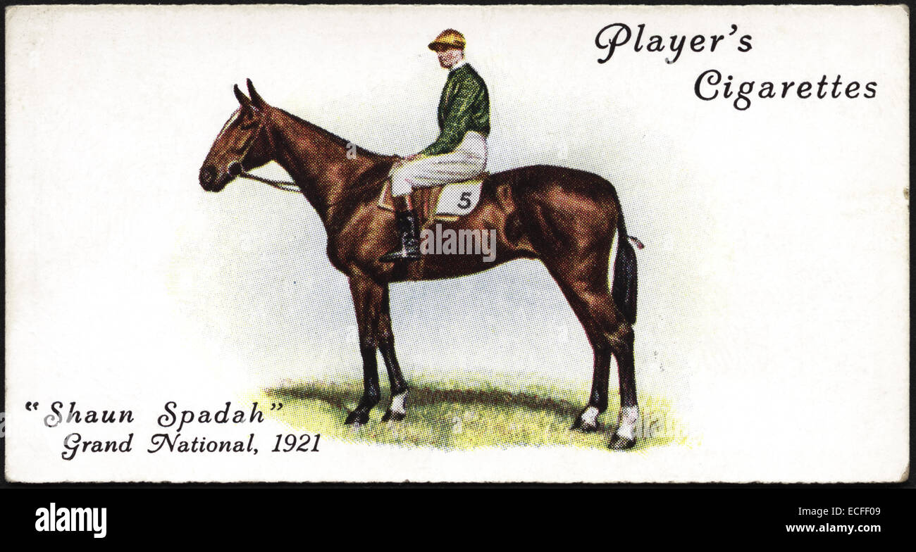 Cigarette card by Player's Cigarettes featuring SHAUN SPADAH winner of The GRAND NATIONAL in 1921 with jockey Fred Rees issued by John Player & Sons in 1933 Stock Photo