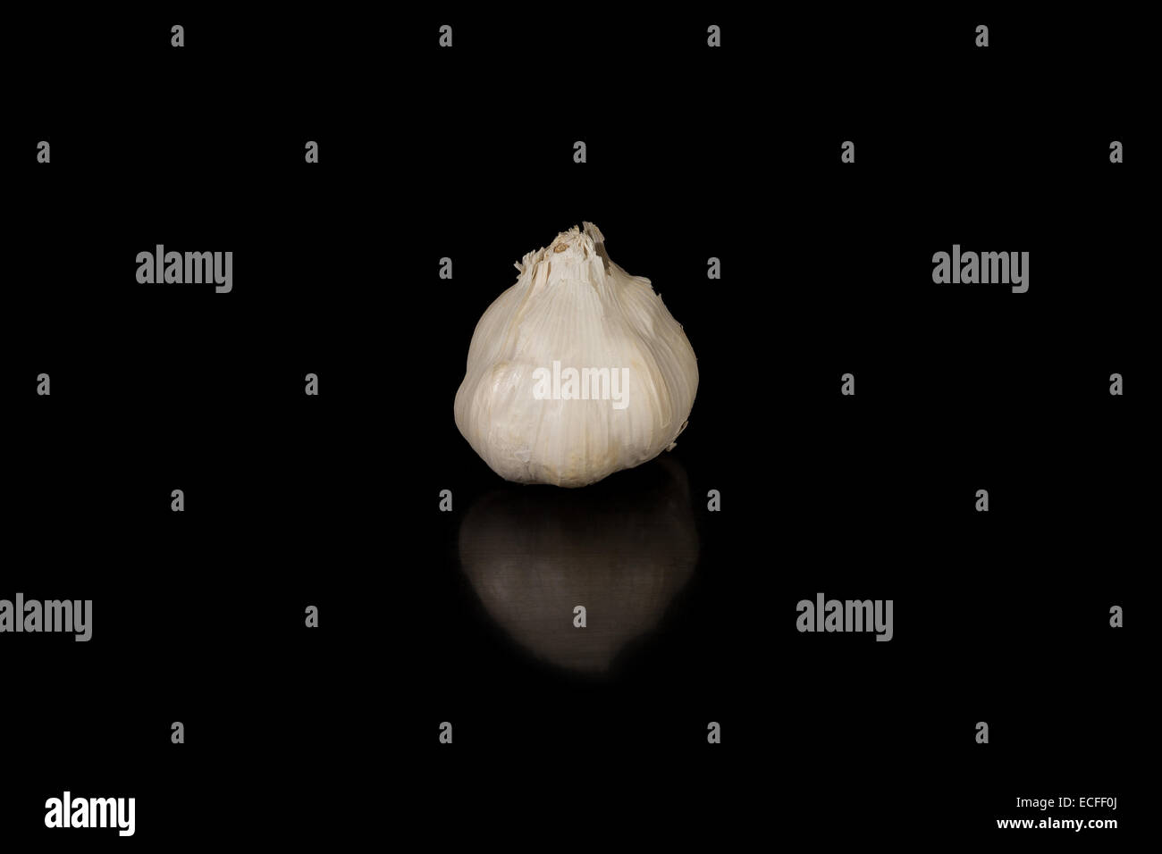 Closeup to a garlic bulb on a black background Stock Photo