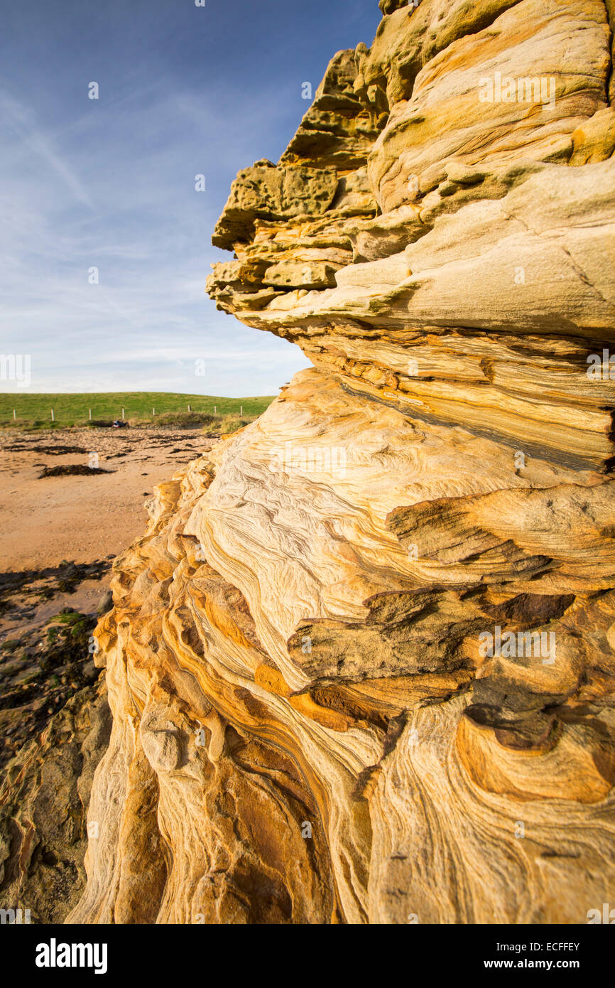 Weathered sandstone sea cliff on the Northumberland coast near Boulmer. Stock Photo