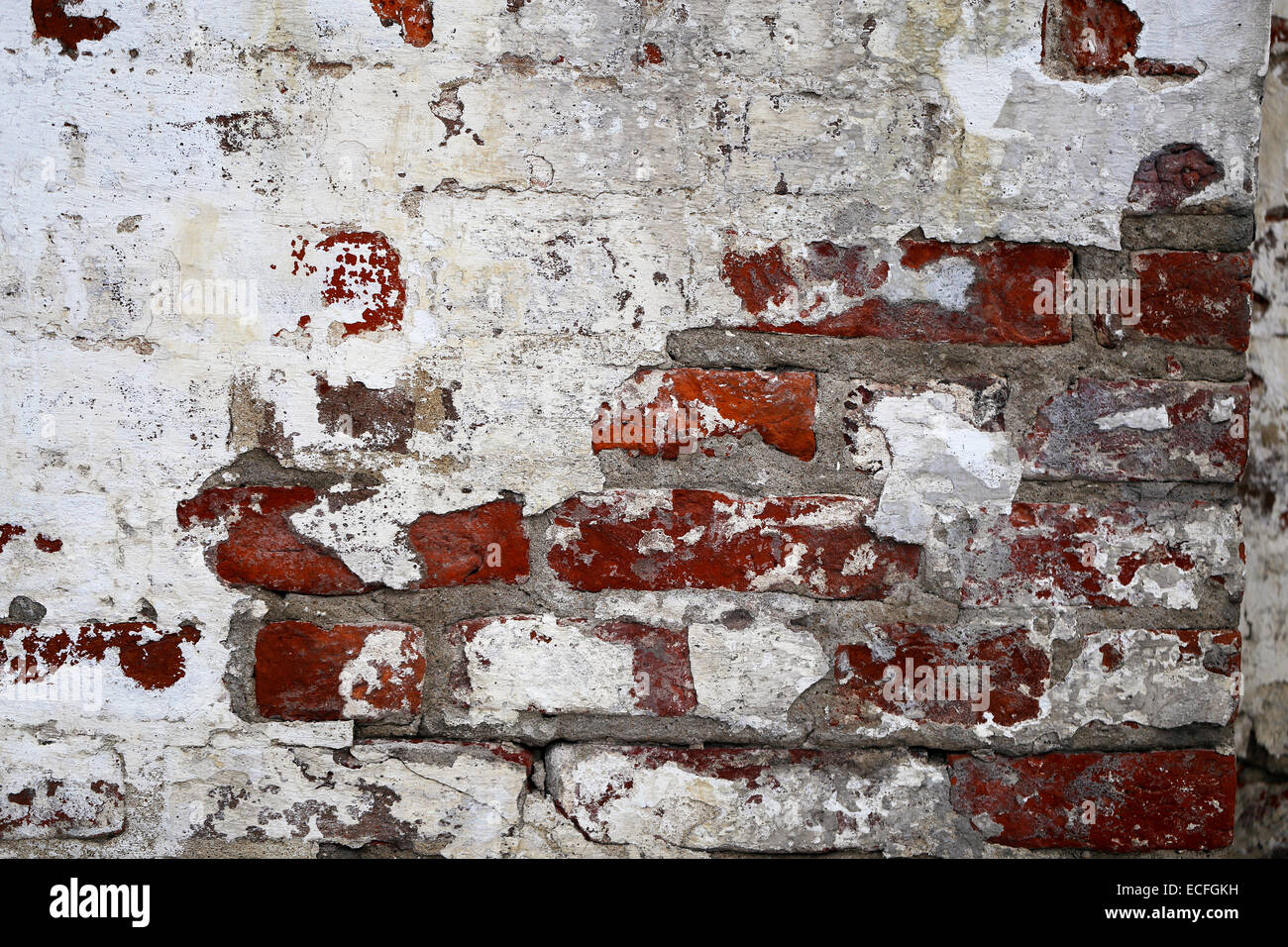 texture of white brick wall photographed close up Stock Photo - Alamy