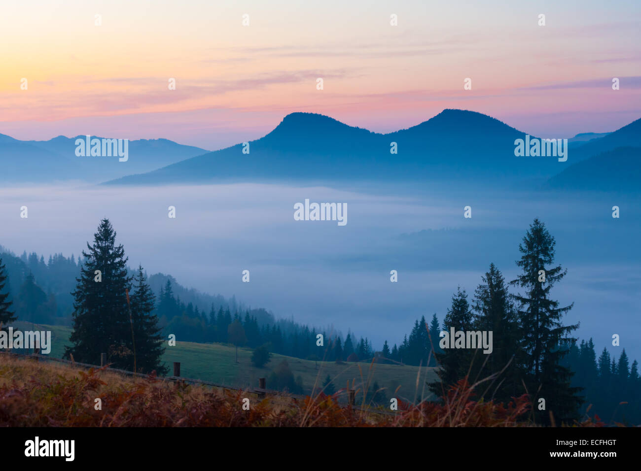 the mountain autumn landscape with colorful forest Stock Photo - Alamy